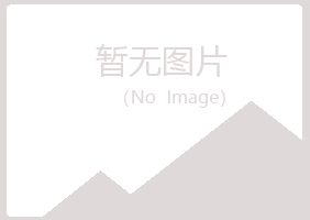 青岛城阳白山建设有限公司